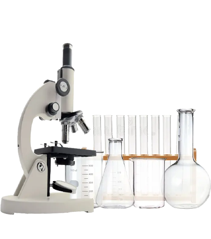 leaf_image_not_found